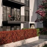 Mosilor Apartament 2 camere - ansamblul ICON GARDEN